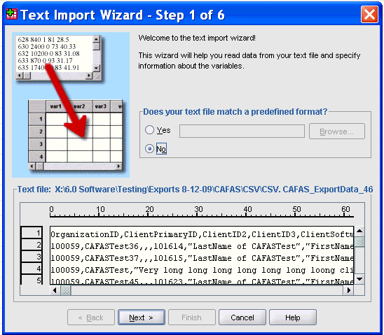 Help Loading Exported Data Into Excel Or Spss 8545
